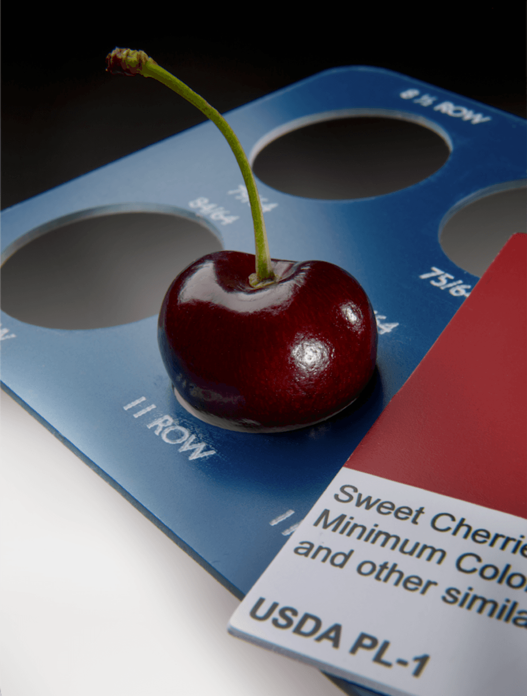 Food safety and quality assurance