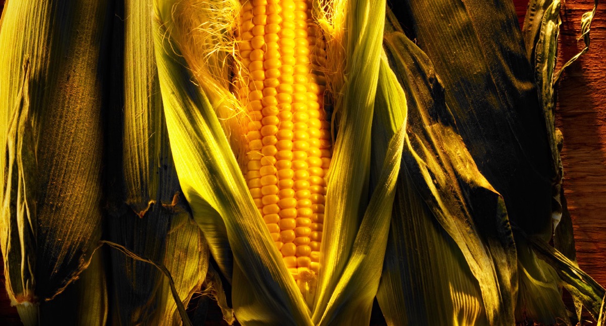 Corn